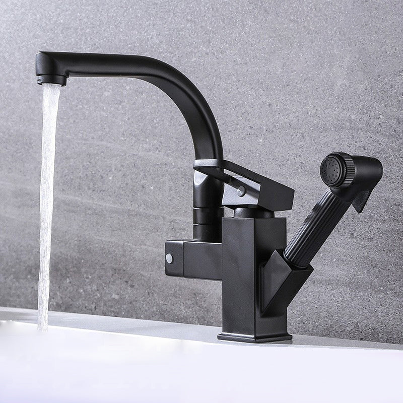 Traditional 1-Handle Faucet with Water Dispenser Standard Kitchen Faucet