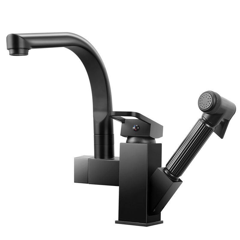 Traditional 1-Handle Faucet with Water Dispenser Standard Kitchen Faucet