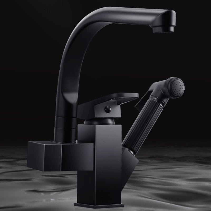 Traditional 1-Handle Faucet with Water Dispenser Standard Kitchen Faucet