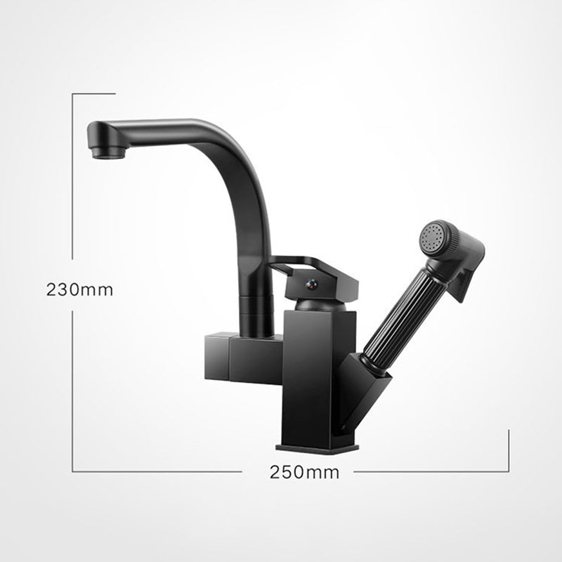 Traditional 1-Handle Faucet with Water Dispenser Standard Kitchen Faucet