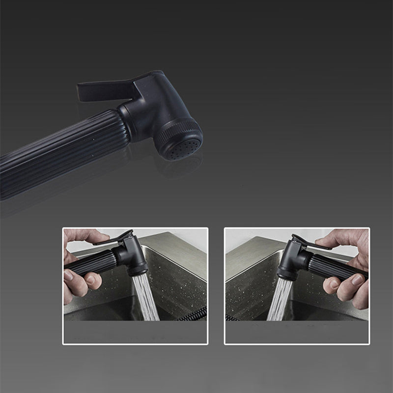 Traditional 1-Handle Faucet with Water Dispenser Standard Kitchen Faucet