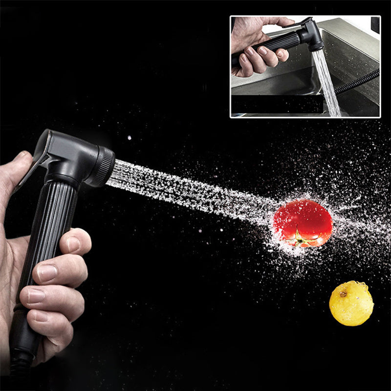 Traditional 1-Handle Faucet with Water Dispenser Standard Kitchen Faucet