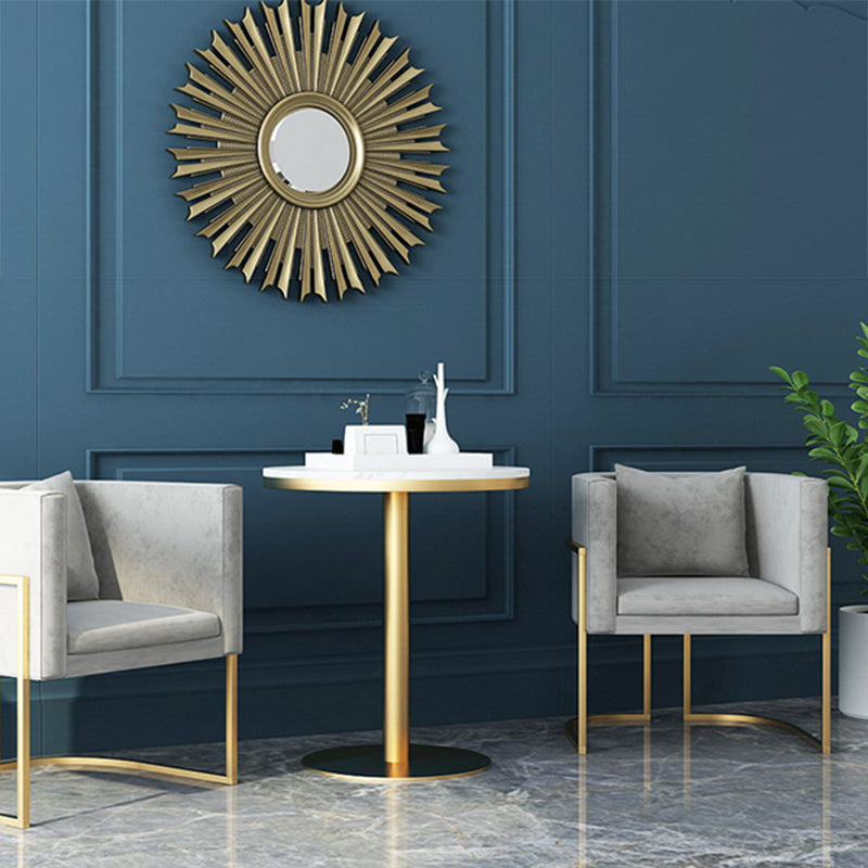 Modern Parsons Arm Chair Velvet Gold Base Dining Chair for Dining Room