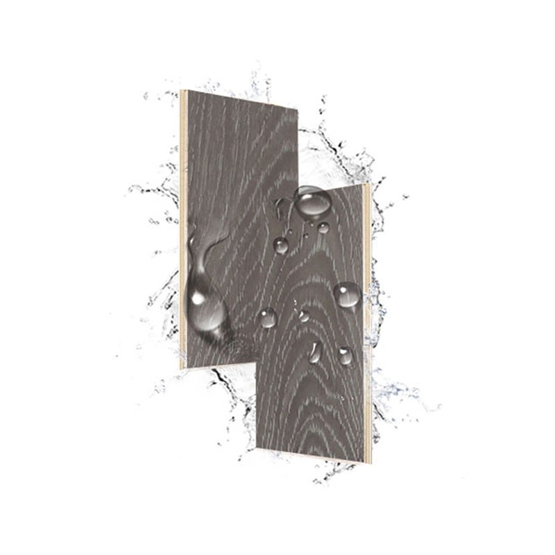 Modern Pine Laminate Flooring Click-Lock Waterproof Laminate Plank Flooring