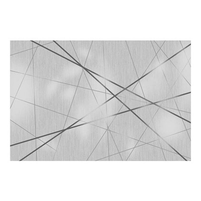 Modern Line Rug Polyester Grey Indoor Rug Tear Resistant Rug for Drawing Room