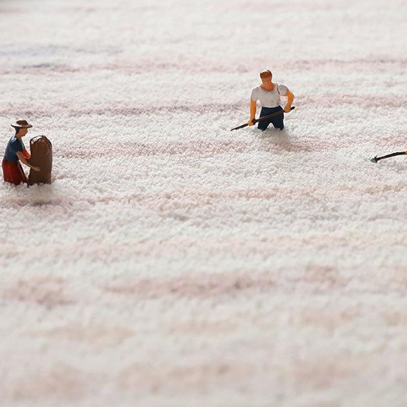 Orange Modern Carpet Polyester Graphic Carpet Tear Resistant Carpet for Drawing Room