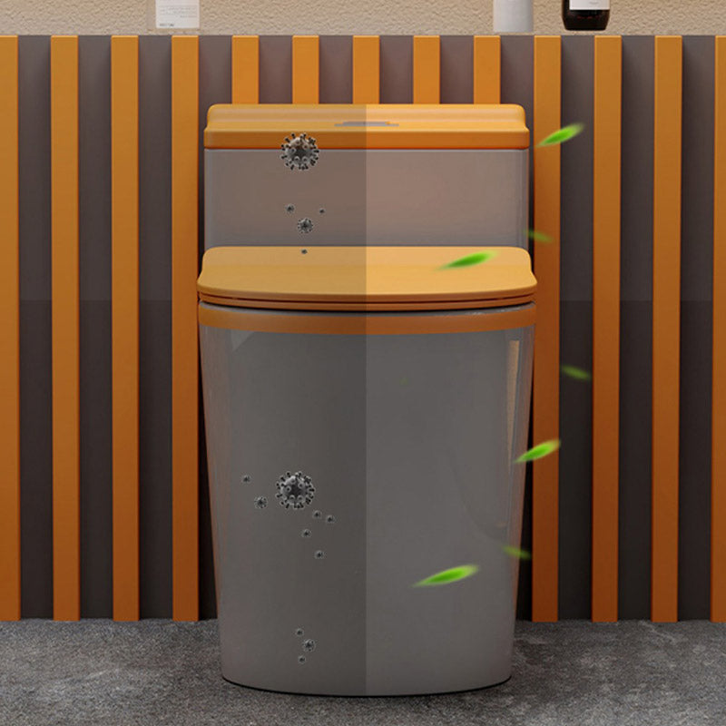 Skirted Toilet Floor Traditional Mount One-Piece Toilet with Slow Close Seat