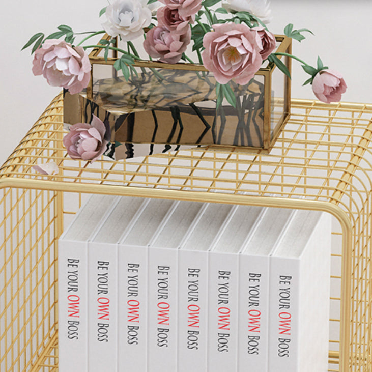 Glam Closed Back Bookcase Metal Standard Bookshelf with Shelves