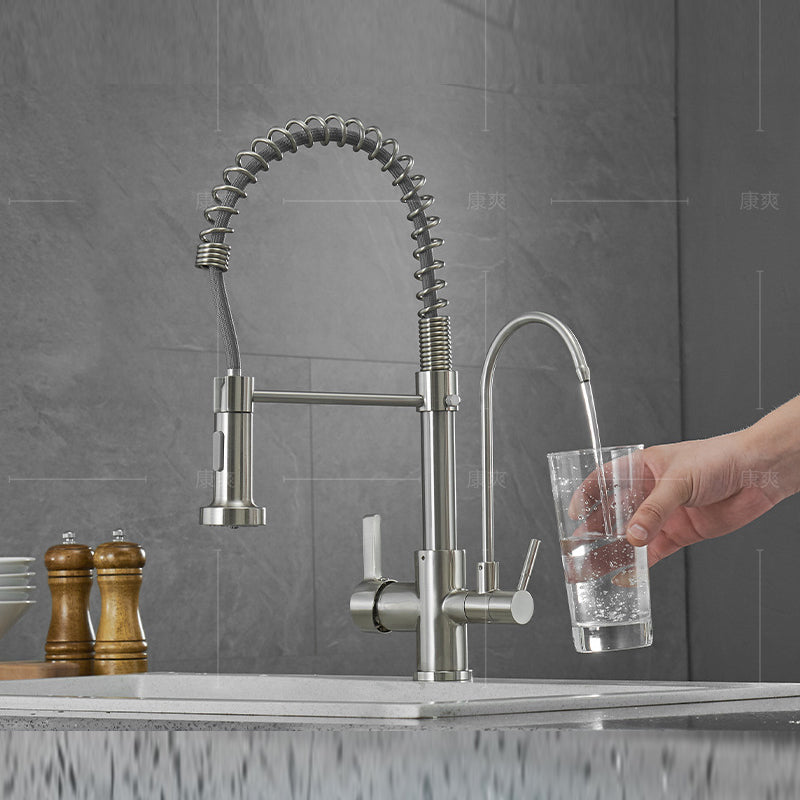 Modern Spring Spout Kitchen Faucet 2-Handle Bar Faucet with 2-Dispenser
