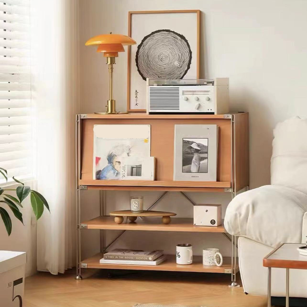 Industrial Accent Cabinet with 2 Shelves and 1 Door in Solid Wood