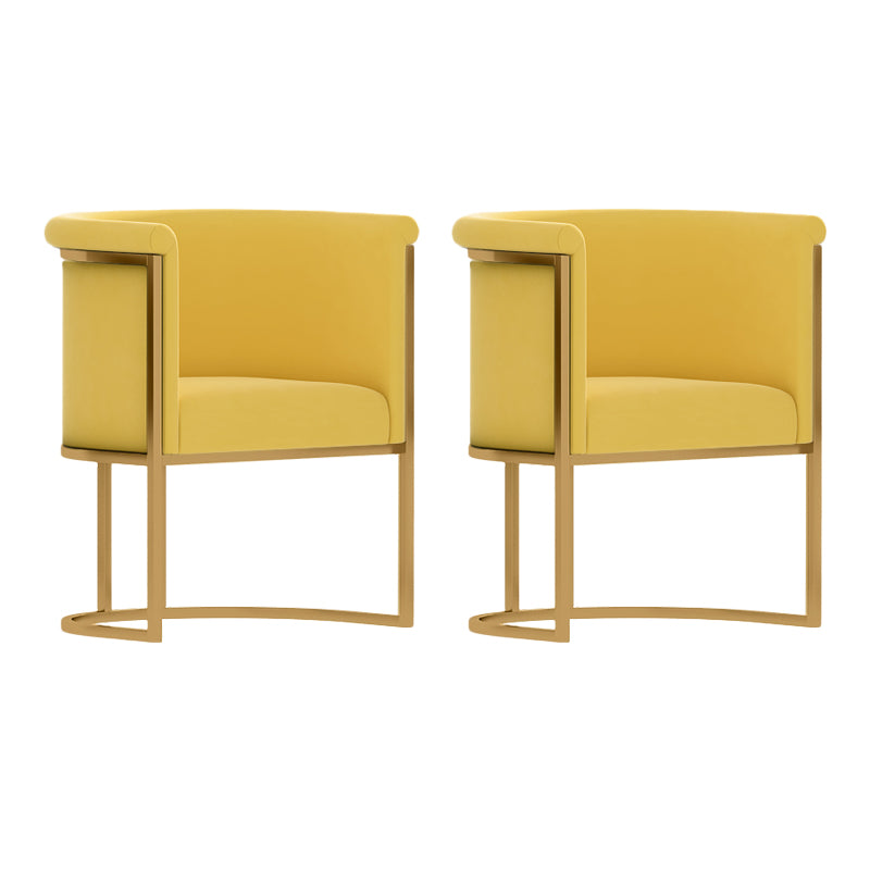 Parsons Velvet Arm Chair Velvet Gold Base Dining Chair for Dining Room