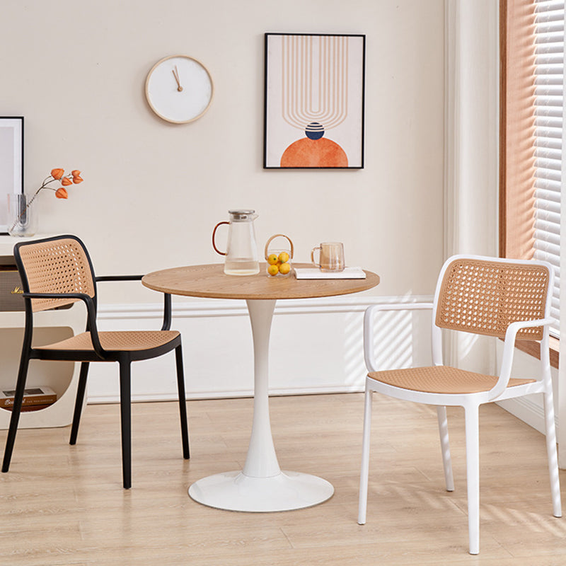 Plastic Patio Dining Side Chair Indoor Armless Open Back Chair