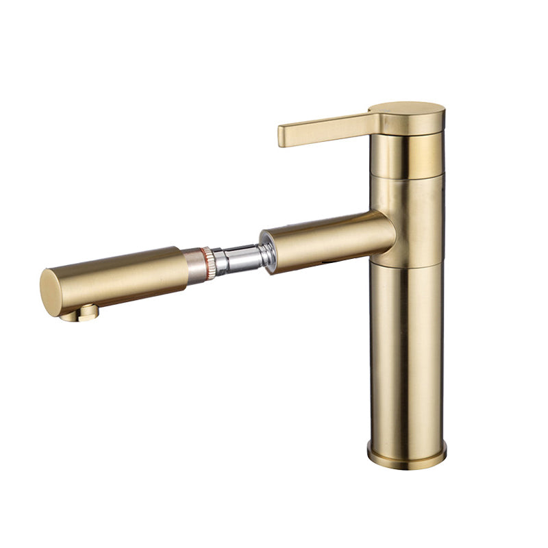 Pull-out Vessel Faucet Modern Style Faucet with One Lever Handle