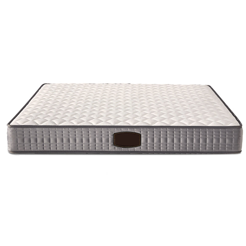 Modern Bed Frame Mattress Included Standard Bed with Custom Gold Legs