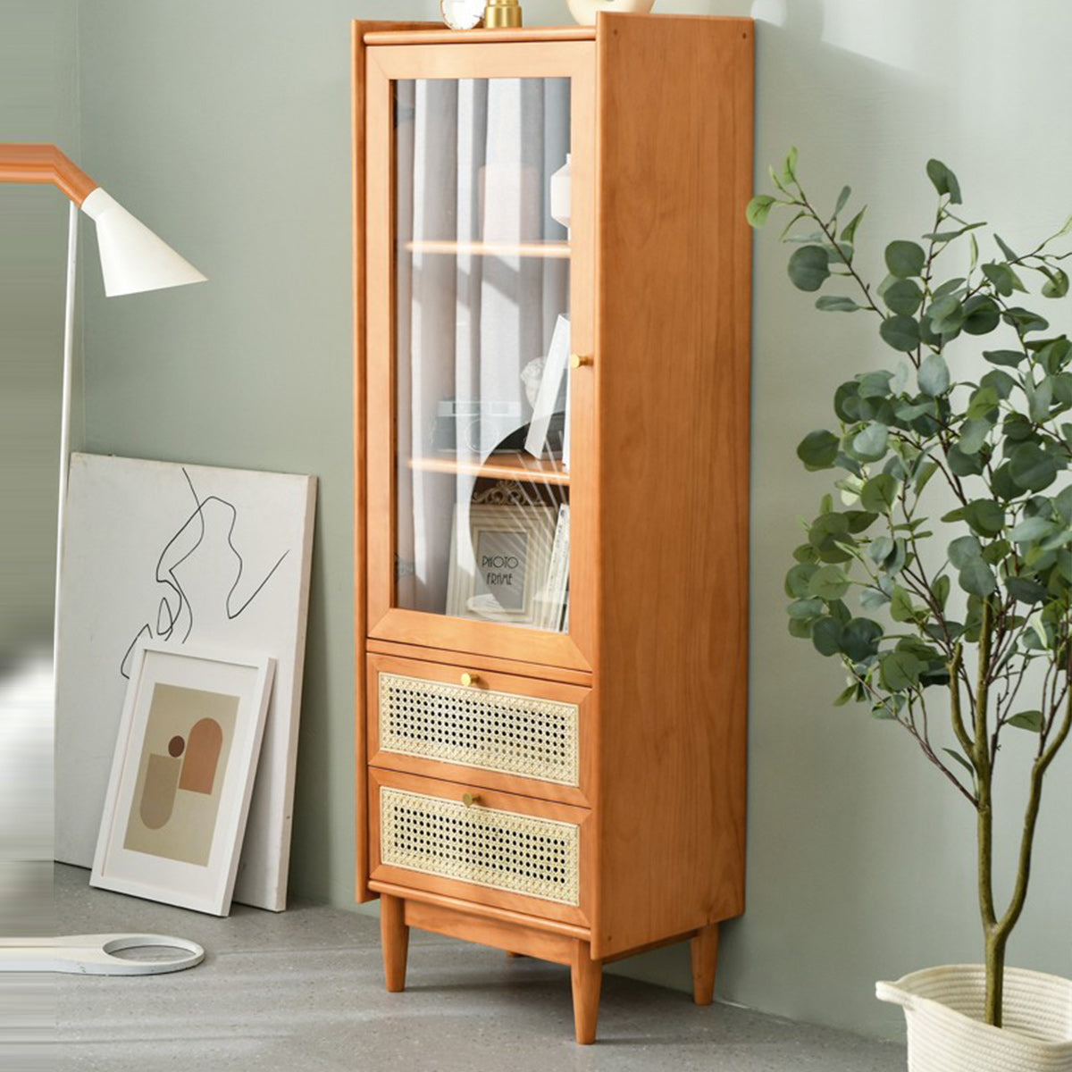 Stain Resistant Storage Cabinet Glass Paned Standard Cabinet