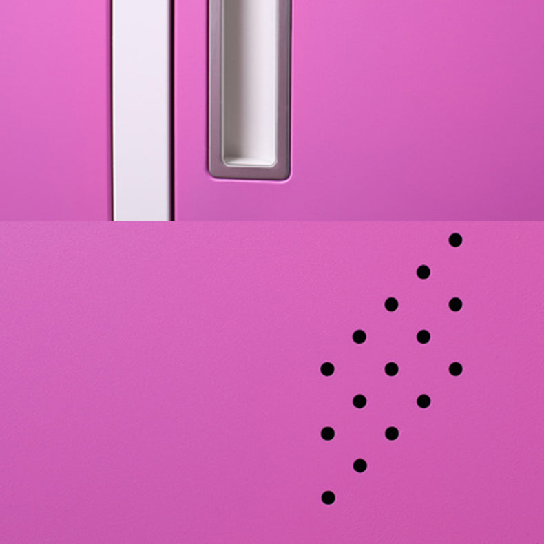 Contemporary Cabinet with Hinged Doors Metal Matte Finish Bathroom Storage Cabinet