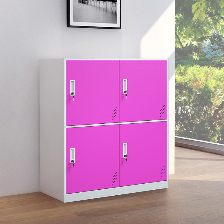 Matte Finish Steel Storage Cabinet with Hinged Doors Contemporary Non-Hanging Armoire