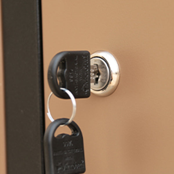 Modern Metal Hinged Door Storage Cabinet Matte Finish Cabinet for Home