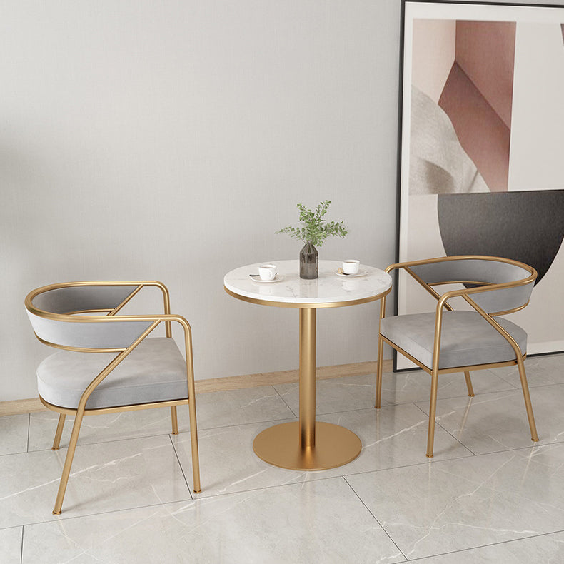 Dining Room Glam Chair Gold Legs Velvet Arm Chair with Upholstered