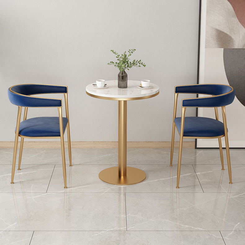 Dining Room Glam Chair Gold Legs Velvet Arm Chair with Upholstered