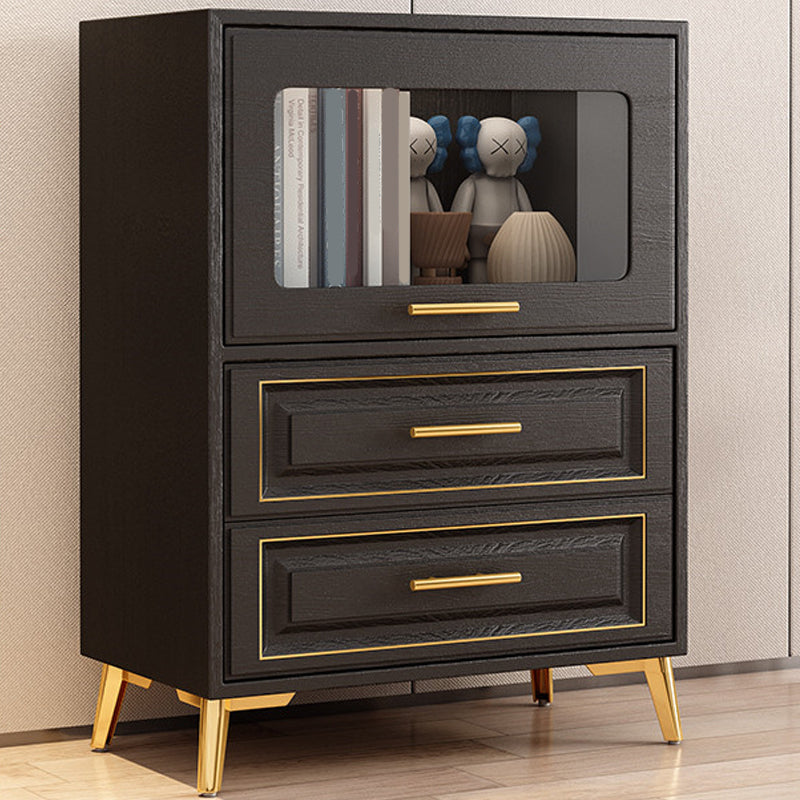 Contemporary Black Chest Glass Paned Accent Cabinet with Drawer