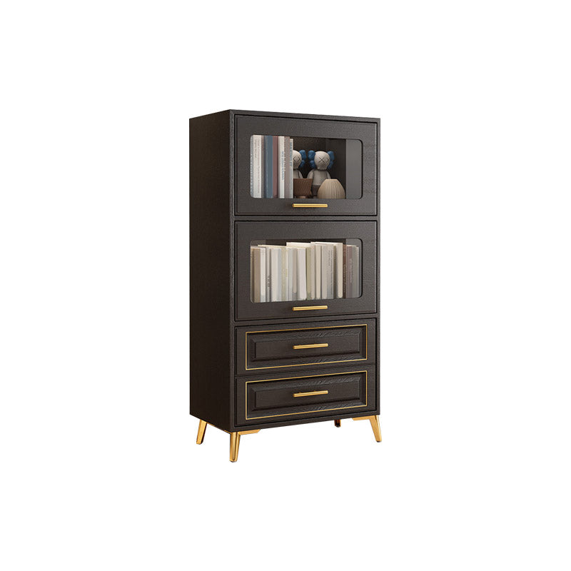 Contemporary Black Chest Glass Paned Accent Cabinet with Drawer