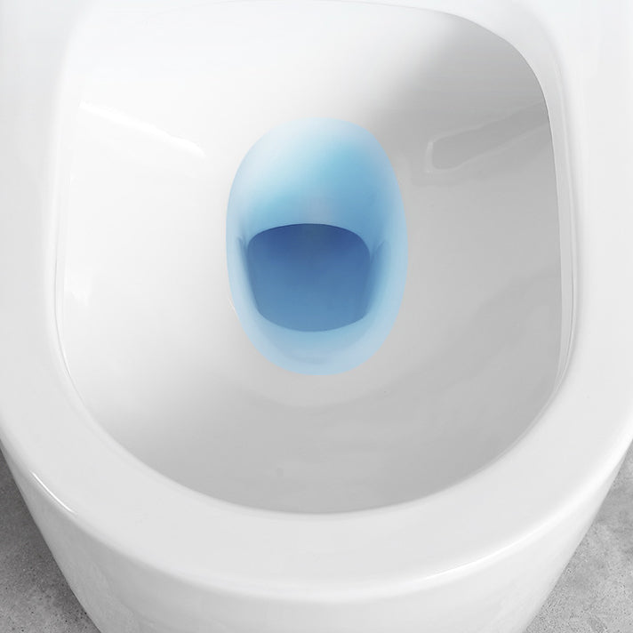 Traditional All-In-One Toilet Bowl Floor Mount Urine Toilet for Washroom