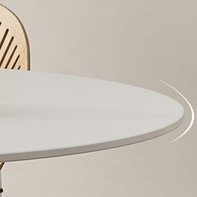 Modern Pedestal Round Dining Table Stone Table for Dining Room