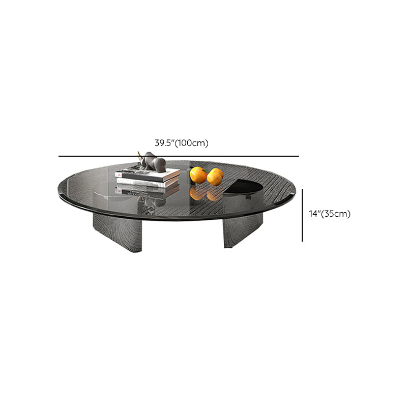 Glass Single Coffee Table Tropical Round Cocktail Table with 3 Legs