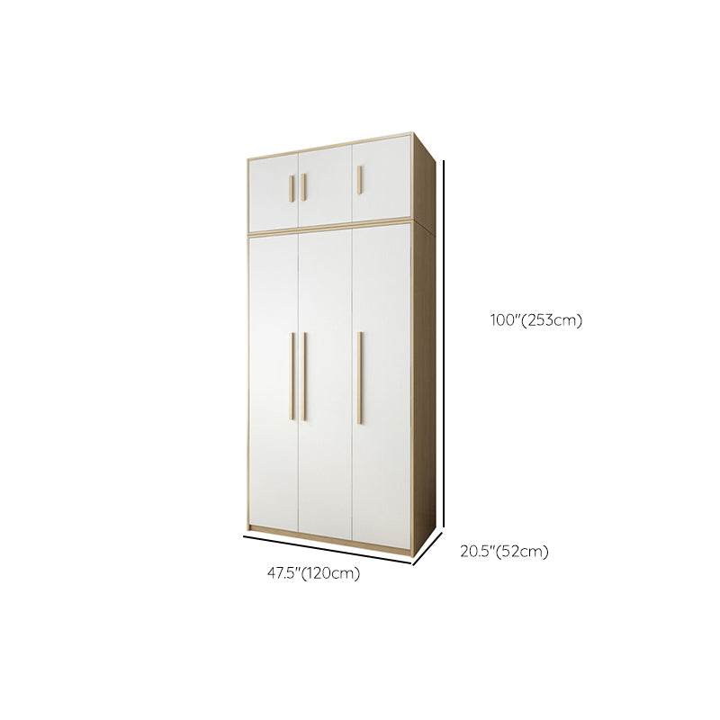 Hinged Wardrobe Cabinet with Garment Rod Contemporary Wardrobe Closet