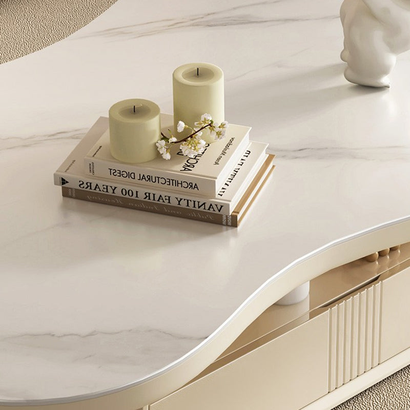 Pedestal Modern Slate Cocktail Table Free-Form Single Coffee Table with Shelf