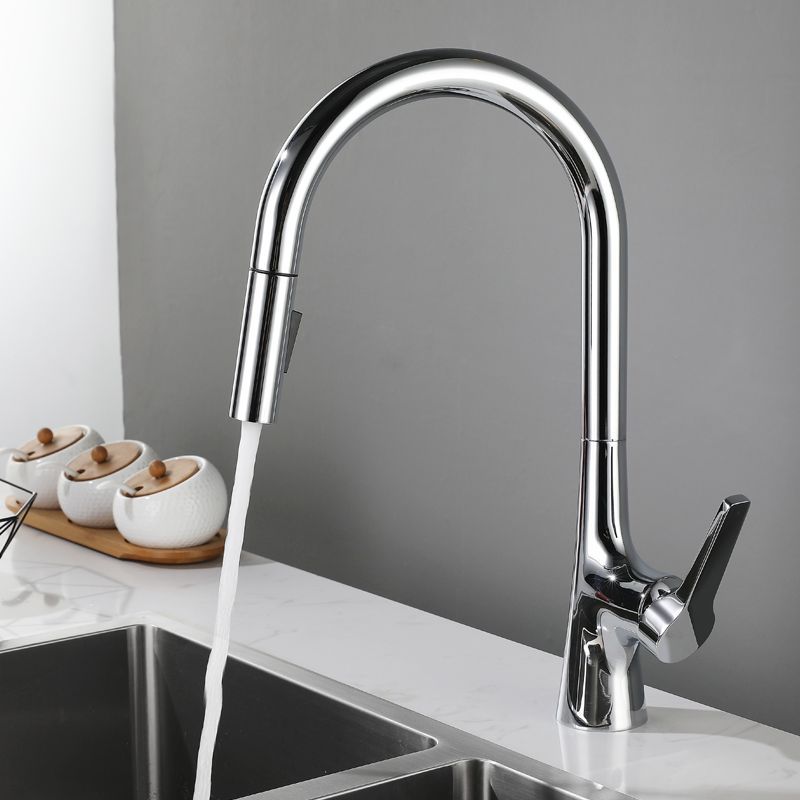 Contemporary Single Handle Standard Kitchen Faucet Pull Down 1-Hold Faucet