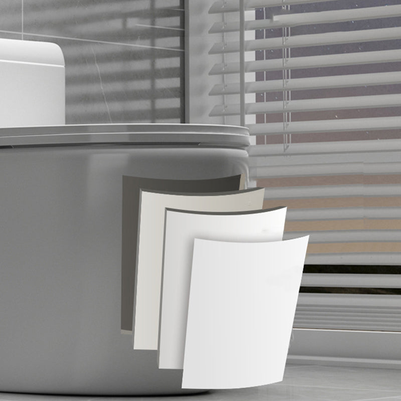 Contemporary Ceramic Floor Mounted Toilet Indoor All-In-One Toilet Bowl