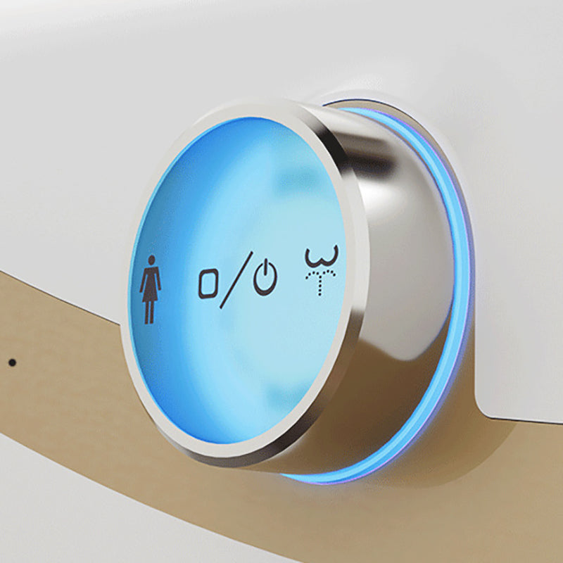 Modern Indoor Siphon Jet Toilet Bowl Floor Mounted All-In-One Toilet