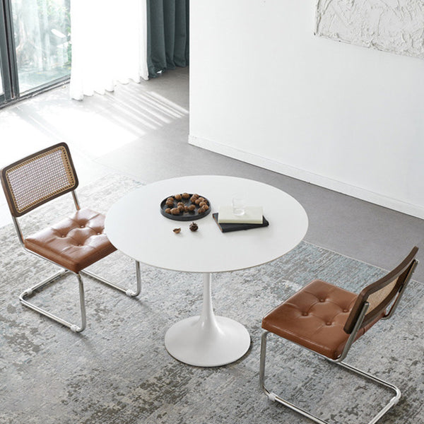Modern Tulip Pedestal White Dining Table Stone Table for Kitchen