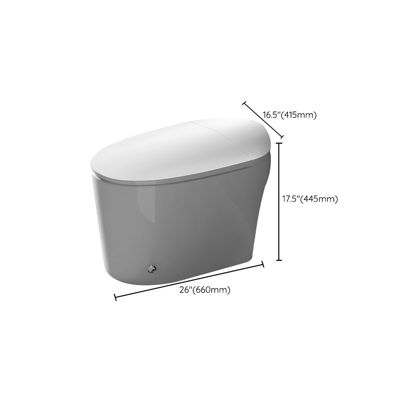 Contemporary Elongated Toilet Bowl White One Piece Toilet with Glazed Surface