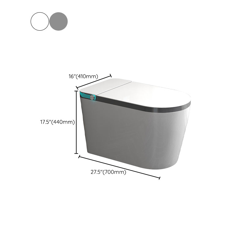 Contemporary Siphon Jet Toilet Bowl Polished Finish All-In-One Toilet