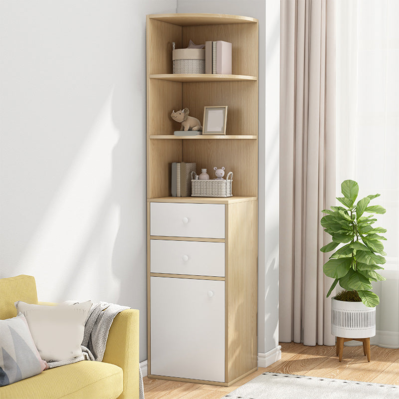 Contemporary Accent Cabinet with Drawers and 1 Wooden Door and Shelves