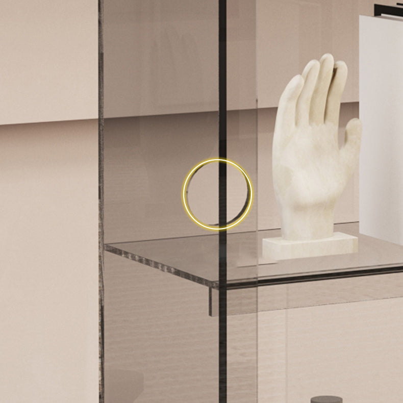 Glam Closed Back Standard Bookshelf Shelves Included Acrylic Bookcase