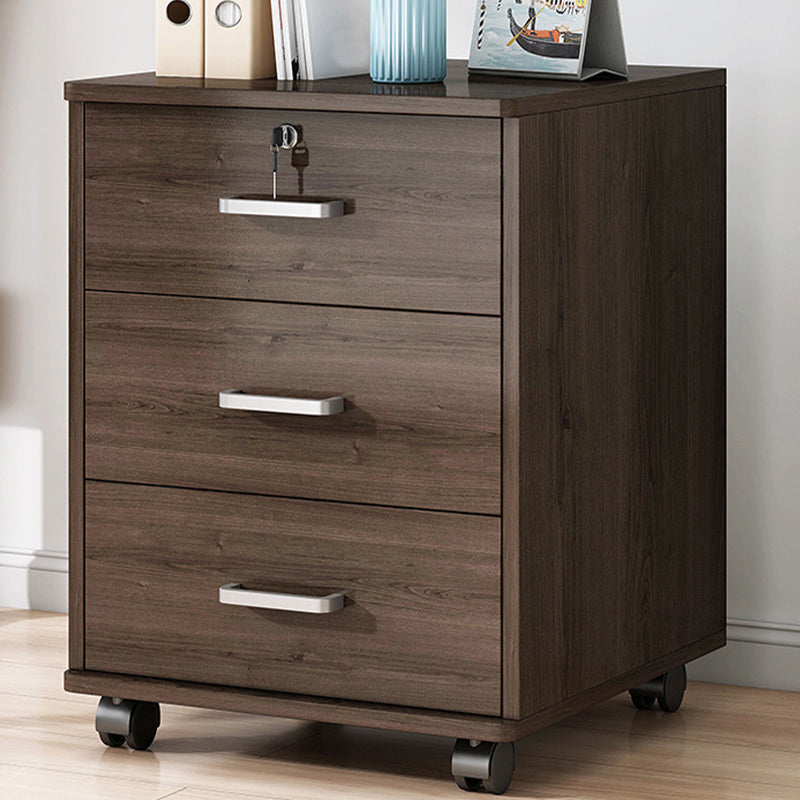 Locking File Cabinet Wood Modern Vertical File Cabinet with Drawers