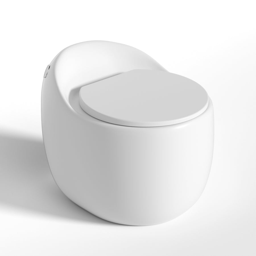 Modern Floor Mount Urine Toilet Concealed Tank Toilet Bowl with Toilet Seat