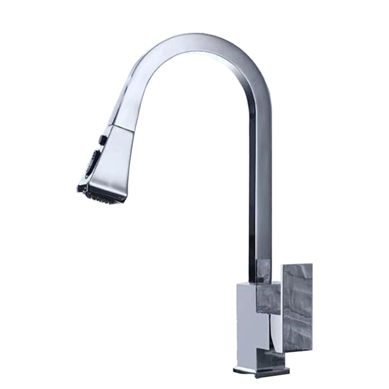 Traditional 1-Handle Faucet Copper with Pull out Sprayer with Water Dispenser Faucet