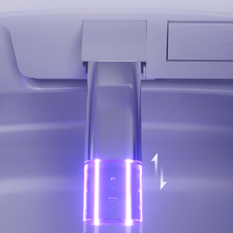 Modern Ceramic Floor Mount Urine Toilet Concealed Tank Toilet Bowl with Toilet Seat