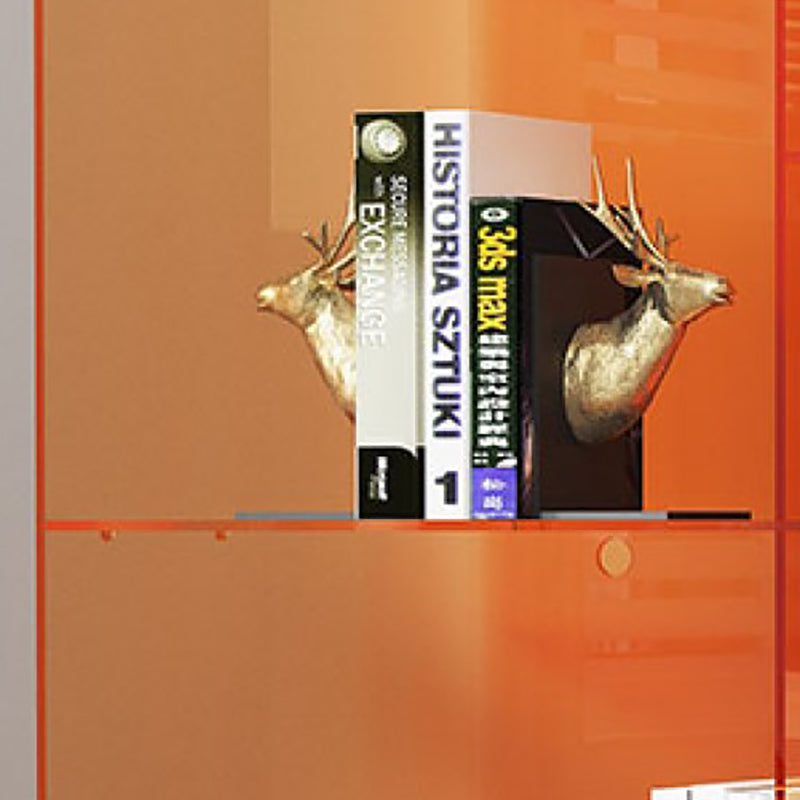 Standard Closed Back Bookshelf Modern Style Acrylic Bookcase