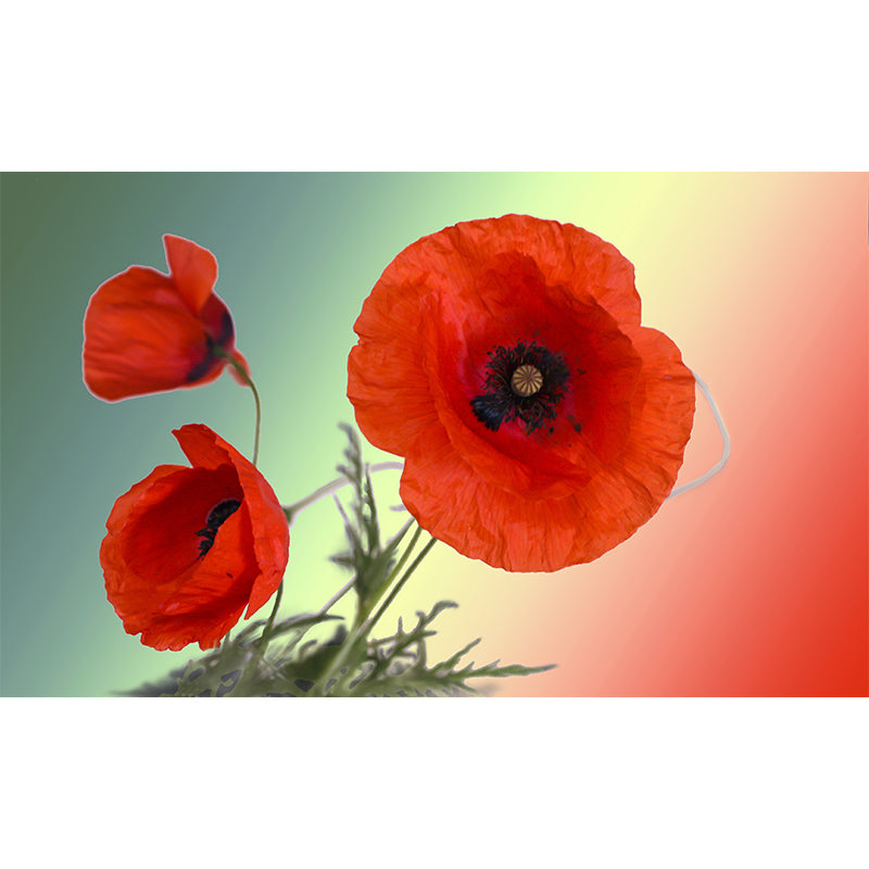Flowers Photography Wallpaper Environment Friendly Mildew Resistant Indoor Wall Mural