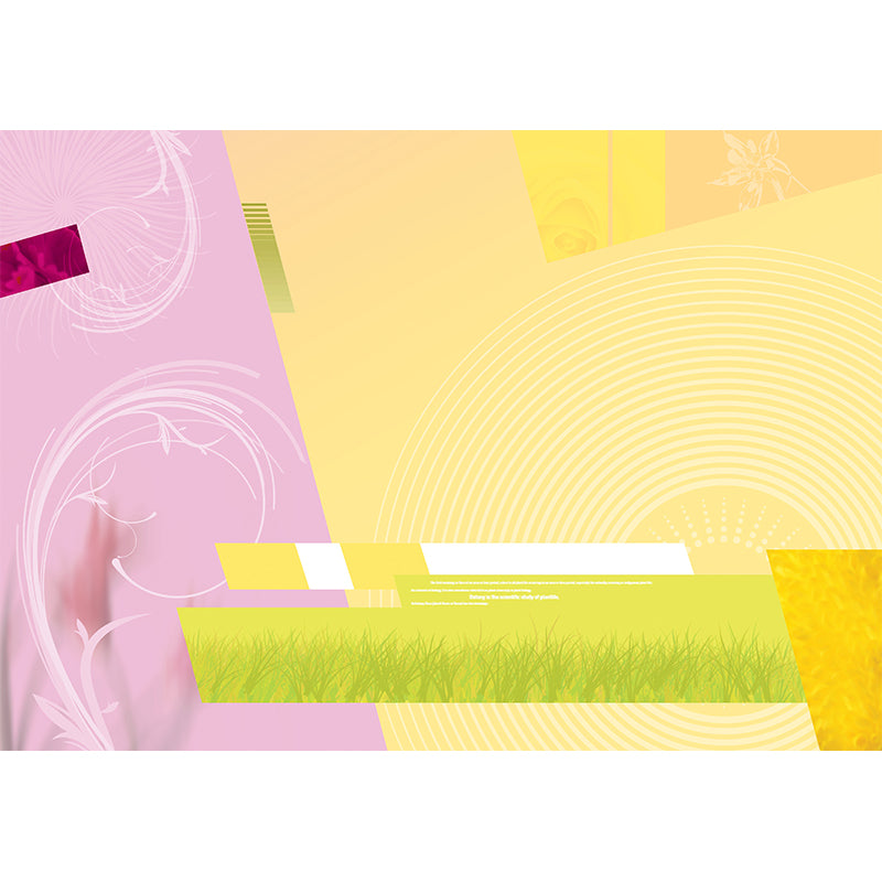 Modern Style Illustration Mural Wallpaper Abstract Indoor Wall Mural