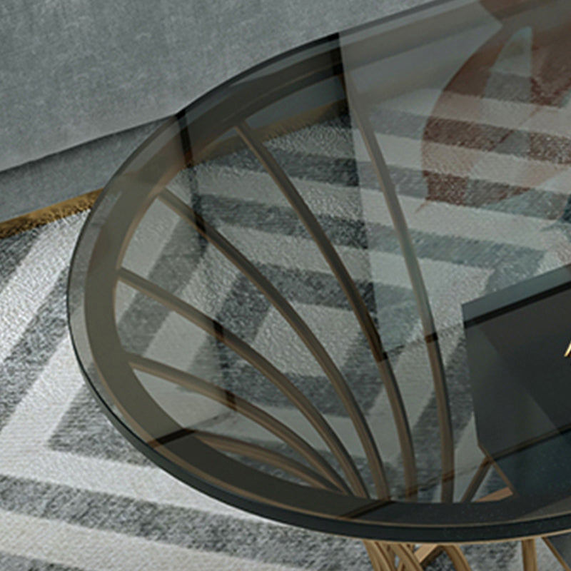Glam Frame Single Coffee Table Oval Coffee Table with Drawer