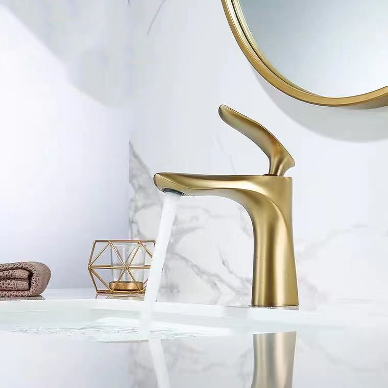 Lever Handle Vanity Sink Faucet Single Hole Basin Faucet with Water Hose