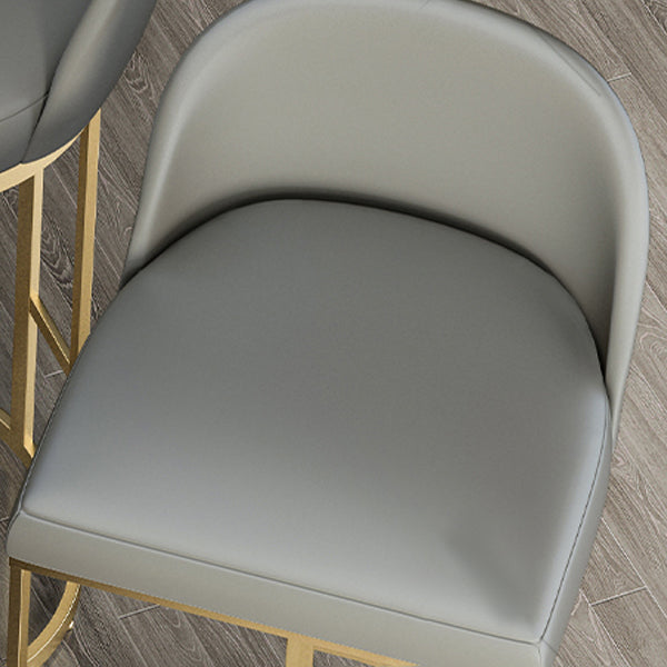 Glam Armless Backrest Counter Stool Iron Bar Stool with Pedal for Kitchen