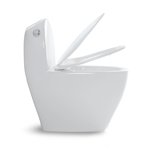 Traditional Toilet Bowl One Piece Toilet Floor Mounted Porcelain Toilet